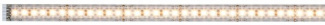 Светодиодная лента MaxLED 70571